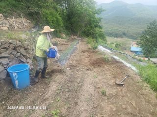 돌담향기님의 기타작물 · 영농일지 작성글 사진