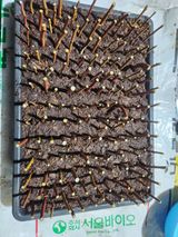 팜모닝 블루베리·영농일지 게시글 이미지