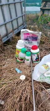 팜모닝 기타작물·영농일지 게시글 이미지