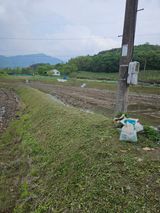 팜모닝 기타작물·영농일지 게시글 이미지