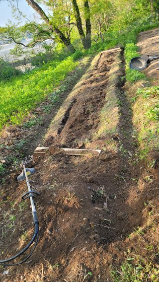 서초농원님의 기타작물 · 영농일지 작성글 사진