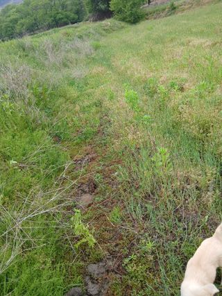 무료지식나눔 팜닥터님의 기타작물 · 영농일지 작성글 사진