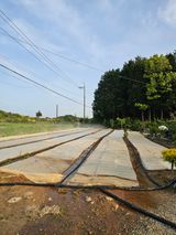 팜모닝 기타작물·영농일지 게시글 이미지