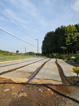 차춘석 님의 기타작물 · 영농일지 작성글 사진