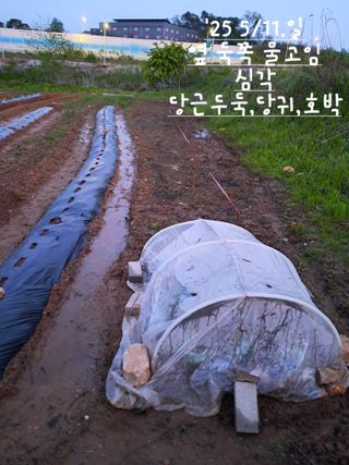 kh글로벌님의 기타작물 · 영농일지 작성글 사진