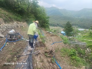 돌담향기님의 기타작물 · 영농일지 작성글 사진