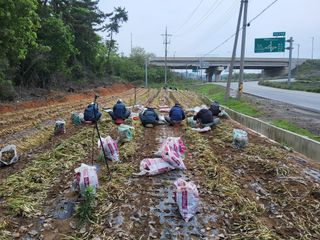 정해원.님의 기타작물 · 영농일지 작성글 사진