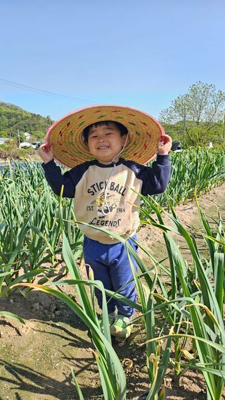 시아님의 고추 · 영농일지 작성글 사진