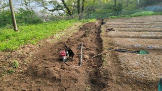 서초농원님의 기타작물 · 영농일지 작성글 사진