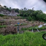 팜모닝 기타작물·영농일지 게시글 이미지