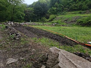 대파14665님의 기타작물 · 영농일지 작성글 사진