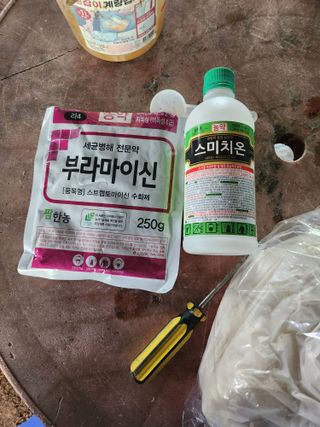 조재홍님의 기타작물 · 영농일지 작성글 사진