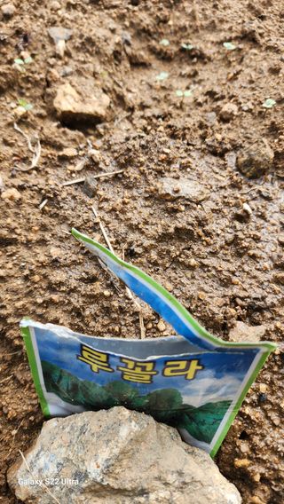 28 268 HQ님의 고구마 · 영농일지 작성글 사진