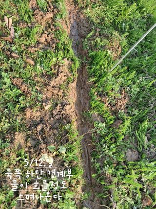 kh글로벌님의 기타작물 · 영농일지 작성글 사진