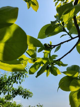 헤라여신^^♡님의 기타작물 · 영농일지 작성글 사진