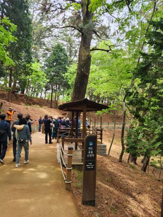 꿀복이농장님의 복숭아 · 영농일지 작성글 사진