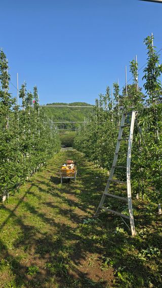 최해목님의 기타작물 · 영농일지 작성글 사진
