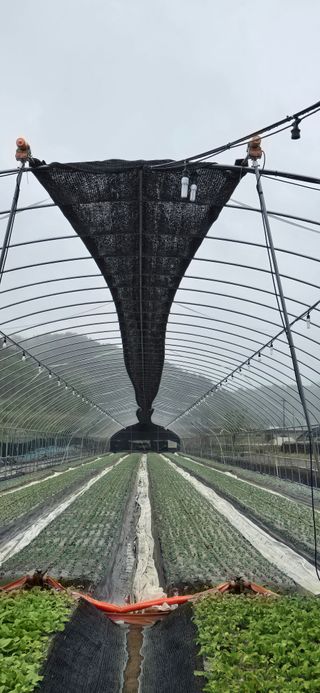 김승기님의 기타작물 · 영농일지 작성글 사진