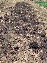 팜모닝 기타작물·영농일지 게시글 이미지