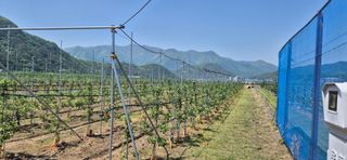 박산하님의 사과 · 영농일지 작성글 사진