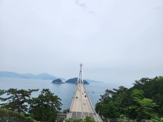 꿀복이농장님의 복숭아 · 영농일지 작성글 사진