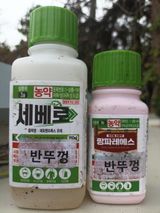 팜모닝 귤·영농일지 게시글 이미지