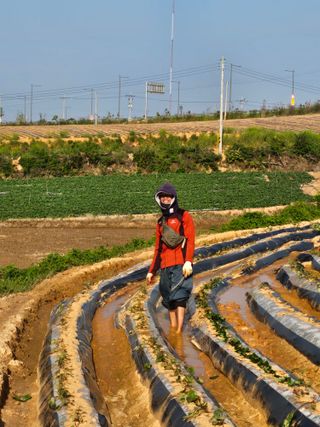 강선미님의 기타작물 · 영농일지 작성글 사진