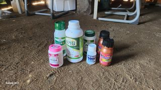 김준한님의 기타작물 · 영농일지 작성글 사진