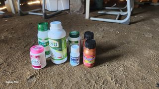 김준한님의 기타작물 · 영농일지 작성글 사진