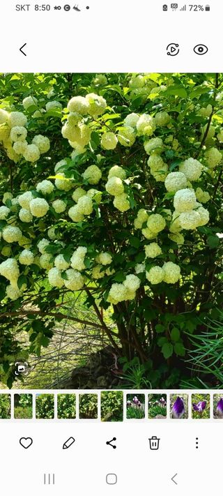 작은별님의 기타작물 · 영농일지 작성글 사진