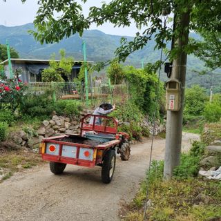 돌담향기님의 기타작물 · 영농일지 작성글 사진