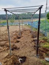 팜모닝 기타작물·영농일지 게시글 이미지