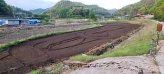 최용한님의 콩 · 영농일지 작성글 사진