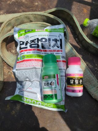 홍승하님의 기타작물 · 영농일지 작성글 사진