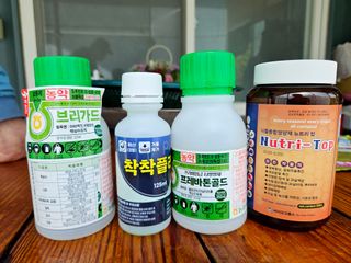 윤장원님의 자두 · 영농일지 작성글 사진