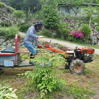 돌담향기님의 기타작물 · 영농일지 작성글 사진