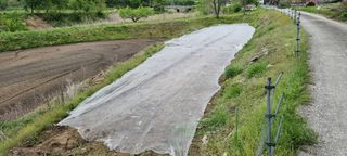 최용한님의 콩 · 영농일지 작성글 사진