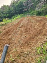 팜모닝 들깨·영농일지 게시글 이미지