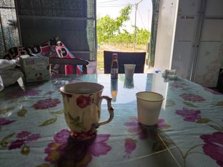 꿀복이농장님의 복숭아 · 영농일지 작성글 사진