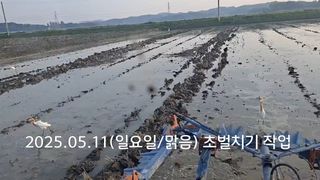 김응균님의 벼 · 영농일지 작성글 사진