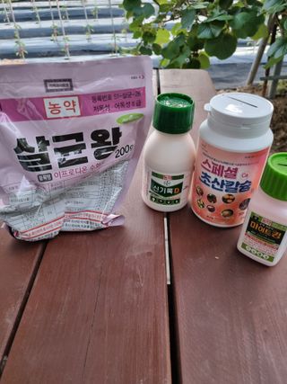 일등병님의 포도 · 영농일지 작성글 사진