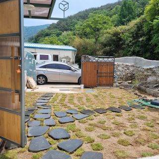 돌담향기님의 기타작물 · 영농일지 작성글 사진