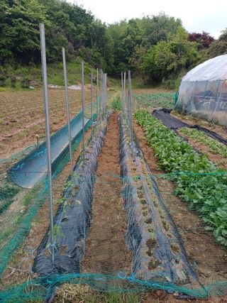 인산님의 기타작물 · 영농일지 작성글 사진