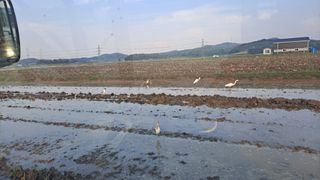 김응균님의 벼 · 영농일지 작성글 사진