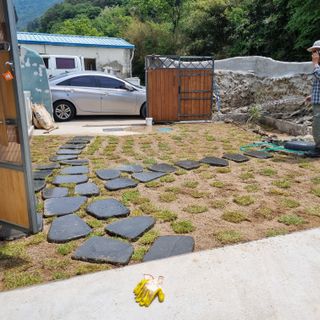 돌담향기님의 기타작물 · 영농일지 작성글 사진