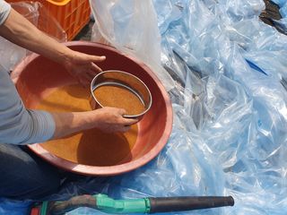 김명복님의 기타작물 · 영농일지 작성글 사진