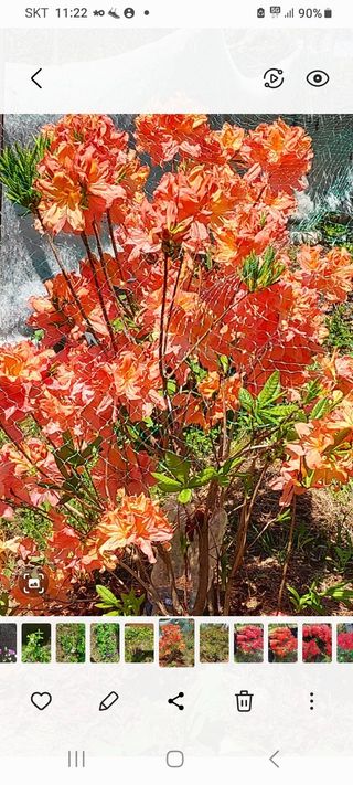 작은별님의 기타작물 · 영농일지 작성글 사진