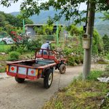 팜모닝 기타작물·영농일지 게시글 이미지