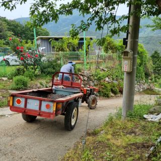 돌담향기님의 기타작물 · 영농일지 작성글 사진