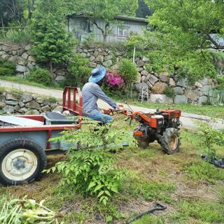 돌담향기님의 기타작물 · 영농일지 작성글 사진